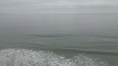 4K DRONE Bird Dives for Fish in Ocean off Tijuana, Mexico Beach, 60fps, PAN Stock Footage 219661588