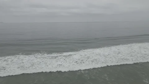 4K DRONE Bird Dives for Fish in Ocean off Tijuana, Mexico Beach, 60fps Stock Footage 219662108