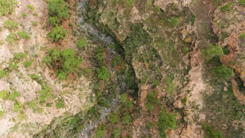 4K drone bird view of canyon - Barranco del Infierno, Tenerife, Canary Islands Stock Footage 197407013
