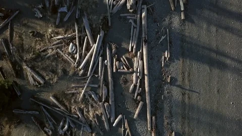 4K Drone Bird's Eye View of Beach and Driftwood 動画素材 86983358