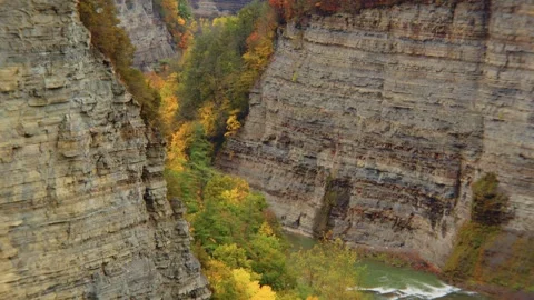 4K drone capture of Letchworth State Park hilltop covered in rich fall foliage, Stock Footage 304221087