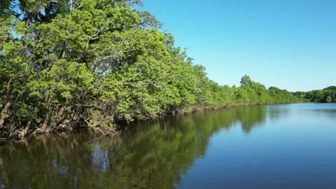 4K Drone Captures Serene Panoramic Views of the Beautiful Alabama River in Calm Stock Footage 239959749