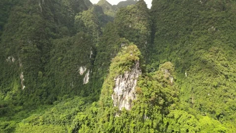 4K Drone Clip @24fps – Limestone Cliffs of Khao Sok National Park, Thailand Stock Footage 313663859
