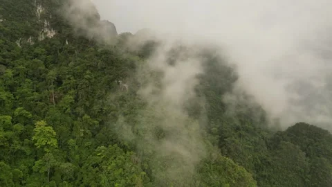4K Drone Clip @24fps – Limestone Cliffs of Khao Sok National Park, Thailand Stock Footage 313812459