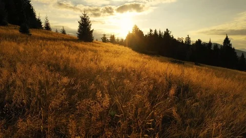4k drone clip with two mountain bikes and a tent on a mountain meadow at sunrise 스톡 동영상 118082688