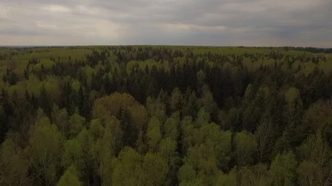 4k Drone copter fly over mixed green woods aerial from above birds eye view Stock Footage 87028108