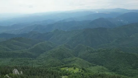 4K drone descent over endless forest – cinematic nature aerial Stock Footage 344550438