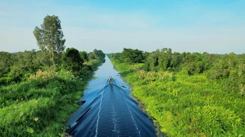 4K Drone Elevation from Boat to Vast Emerald Forest View Stock Footage 332963192