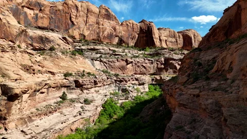 4K Drone Exploring Icebox Canyon Off of the Upper Colorado River Scenic Byway Stock-Footage 313511167