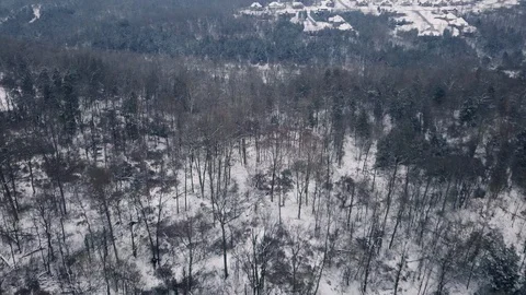 4K drone flight above winter forest scenery after the first snow fall of the yea 스톡 동영상 101492304