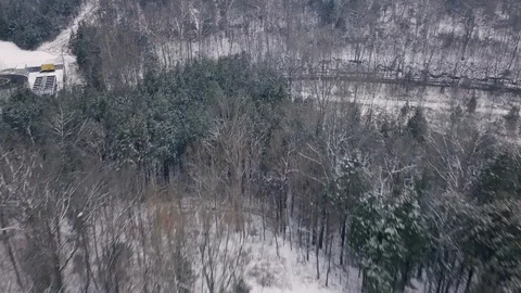 4K drone flight above winter forest scenery after the first snow fall of the yea Vídeo Stock 101492364