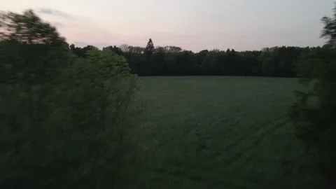 4K-Drone flight between Two Trees into Sunset Stock Footage 194414169