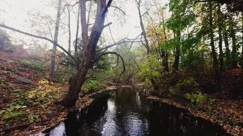 4K Drone Flight over Autumn River and Forest in Quebec, Canada Stock Footage 319056096