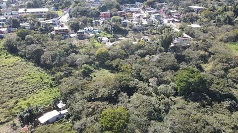 4k drone flight over cedar production, beautiful landscape Stock Photos