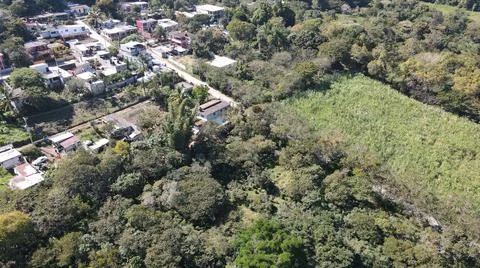 4k drone flight over cedar production, beautiful landscape Foto stock