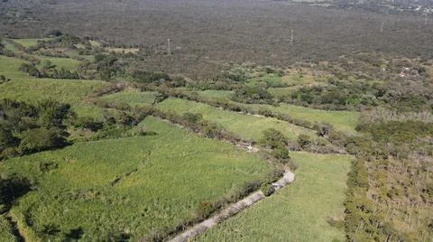 4k drone flight over cedar production, beautiful landscape Foto stock
