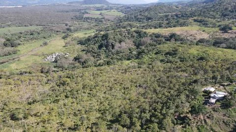 4k drone flight over cedar production, beautiful landscape Stock Photos