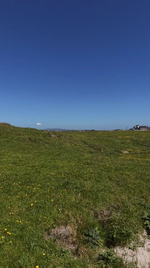 4K Drone Flight Over Coastal Grassland With Path and Open Sky Vidéo 335621063