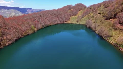 4K Drone Flight Over a Crystal Blue Autumn Lake with Leafless Trees Stock Footage 339197378