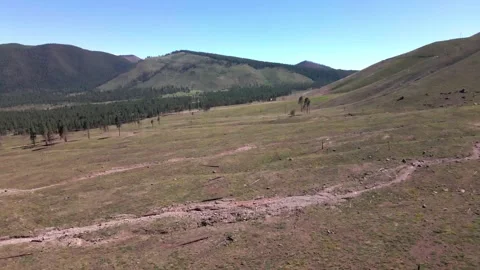 4K Drone Flight Over Flagstaff’s Mount Humphreys – Scenic Mountain Landscape Video stock 304247675