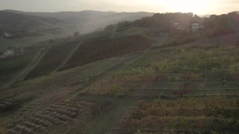 4K drone flight over green vineyards in Italy on a moody Fall afternoon Stock Footage 297283578