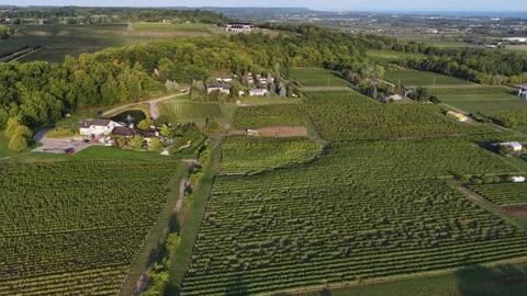 4K Drone Flight over Jordan Valley, Vineland Stock Footage 316403489