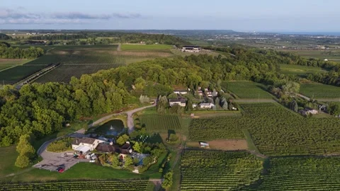 4K Drone Flight over Jordan Valley, Vineland Stock Footage 316403544