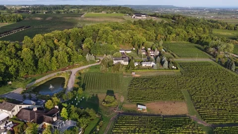 4K Drone Flight over Jordan Valley, Vineland Stock Footage 316403732