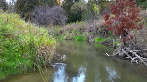 4K Drone Flight Over The River Stock Footage 258969394