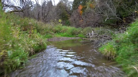 4K Drone Flight Over The River Stock Footage 258969424