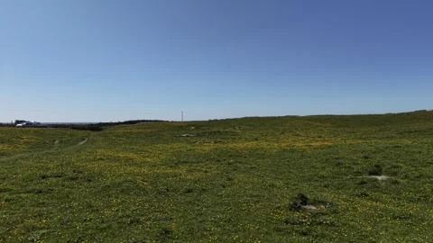 4K Drone Flight Over Rolling Green Grassland Under Clear Sky Stock Footage 335620771