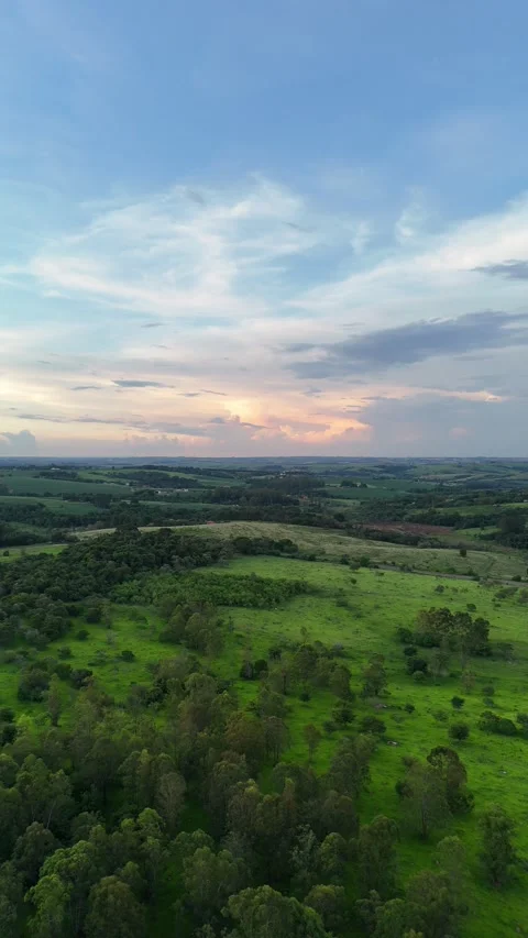 4k drone flight at suset over the Atlantic forest Stock Footage 325344569
