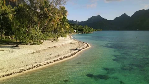 4K drone : Flying above clear water lagoon Moorea Tahiti island French Polynesia Stock Footage 138410122