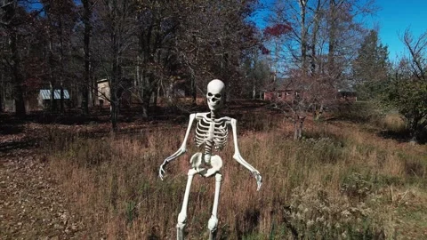 4K drone flying back away from 12ft skeleton in field Stock Footage 318286904