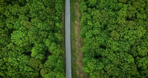4K - drone flying down - forest with road, green trees and hills. Stock Footage 107394583