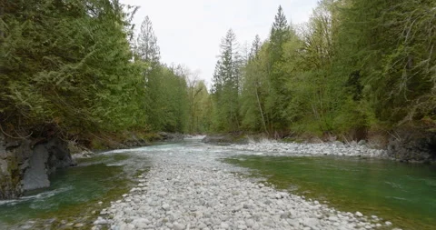 4k Drone Flying Forward Over Wide Rocky River In Canadian Evergreen Forest Stock Footage 264771725