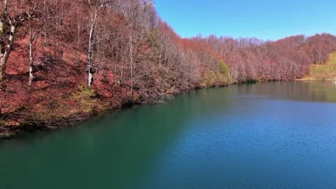 4K Drone Flying Low Over Crystal Blue Lake Toward Leafless Autumn Trees Stock Footage 339102428
