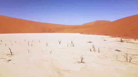 4K Drone Flying Over Dead Camel Thorn Trees in Deadvlei, near Sossusvlei, Stock Footage 258642771