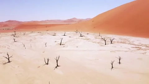 4K Drone Flying Over Dead Camel Thorn Trees in Deadvlei, near Sossusvlei, Stock Footage 258642774