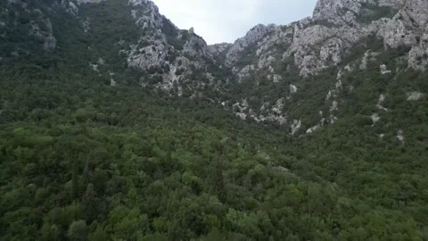 4K. Drone flying over a dense forest in the Montenegrin mountains. Stock Footage 290440938