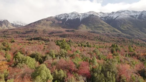 A 4K drone flying over a patagonic forest, trough trees, towards Los Andes Stock Footage 248989917