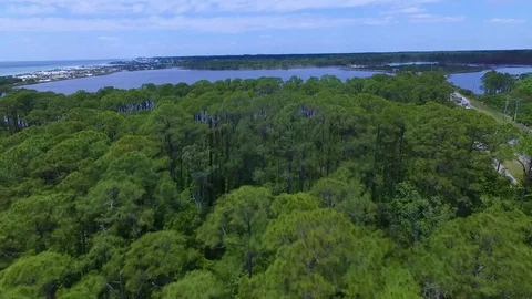 4K Drone Flying Over Trees and Out to Lake Stock-Footage 109356812