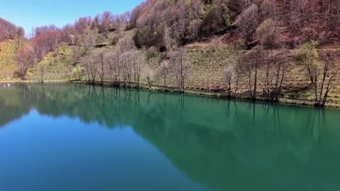 4K Drone Flying Slowly Toward Reflections of Bare Trees 스톡 동영상 339188812