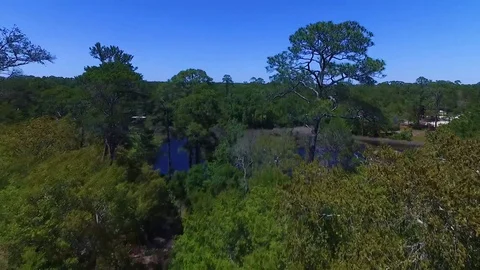 4K Drone Flying Through Trees and Out Over River Stock Footage 109230830