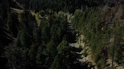 4k Drone flying through trees &amp; road in middle 動画素材 142767356