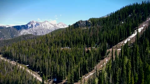 4k Drone flying thru the pine trees in Telluride, CO Stock Footage 155367520