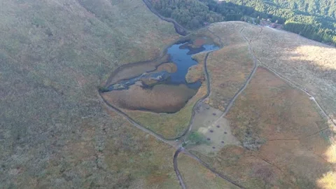4K Drone Flyover Unveiling Earth-Like Pampas and Tranquil Pond by Drone Stock Footage 257789761