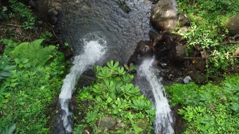 4K Drone Footage Captivating Views of a Small Creek Stream 動画素材 239883750