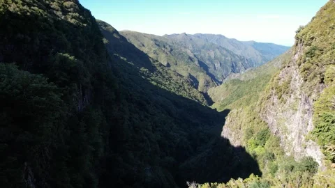 4k Drone Footage of Forest Stock Footage 249835525