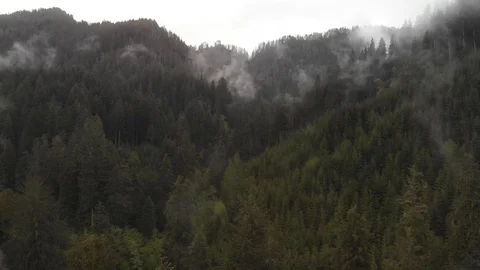 4k Drone Footage of Forest in Oregon Video stock 112158751